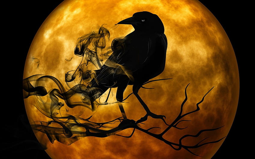 raven, creepy amoled HD wallpaper