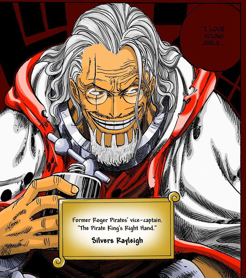Who's the most Epic Character in One Piece?, silvers rayleigh HD phone wallpaper