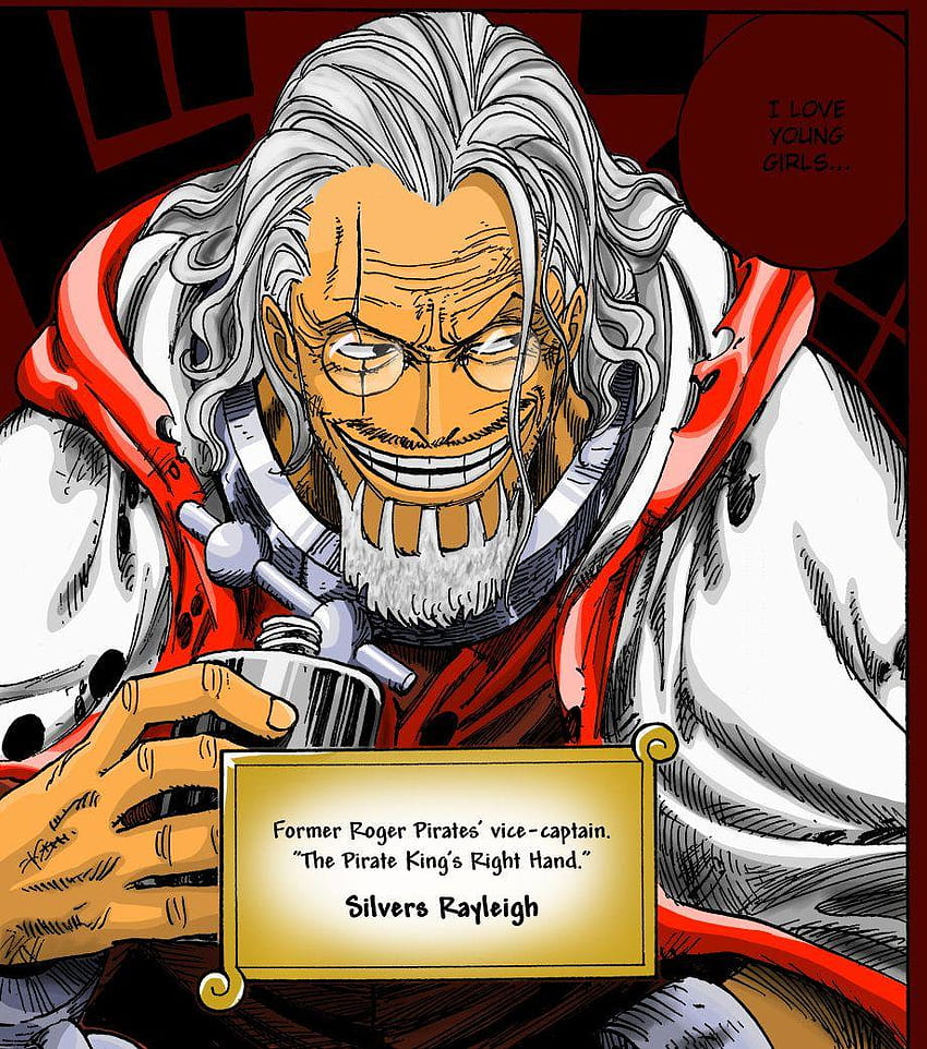 Dark king slivers Rayleigh | One piece drawing, One piece manga, One piece  wallpaper iphone