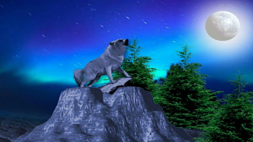 Wolf Howling At The Moon Backgrounds, serigala neon Wallpaper HD