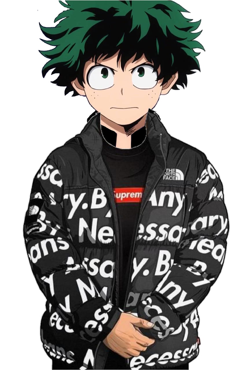 Izuku Midoriya, Wikia Boku no Hero Academia