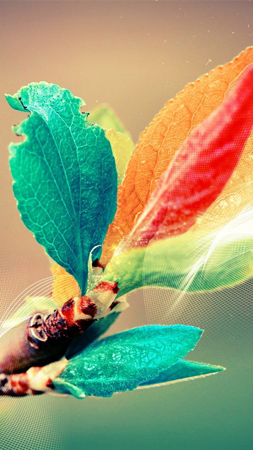 Beautiful Colorful Bud Leaf Branch Silk Line Art iPhone 6, dp ...