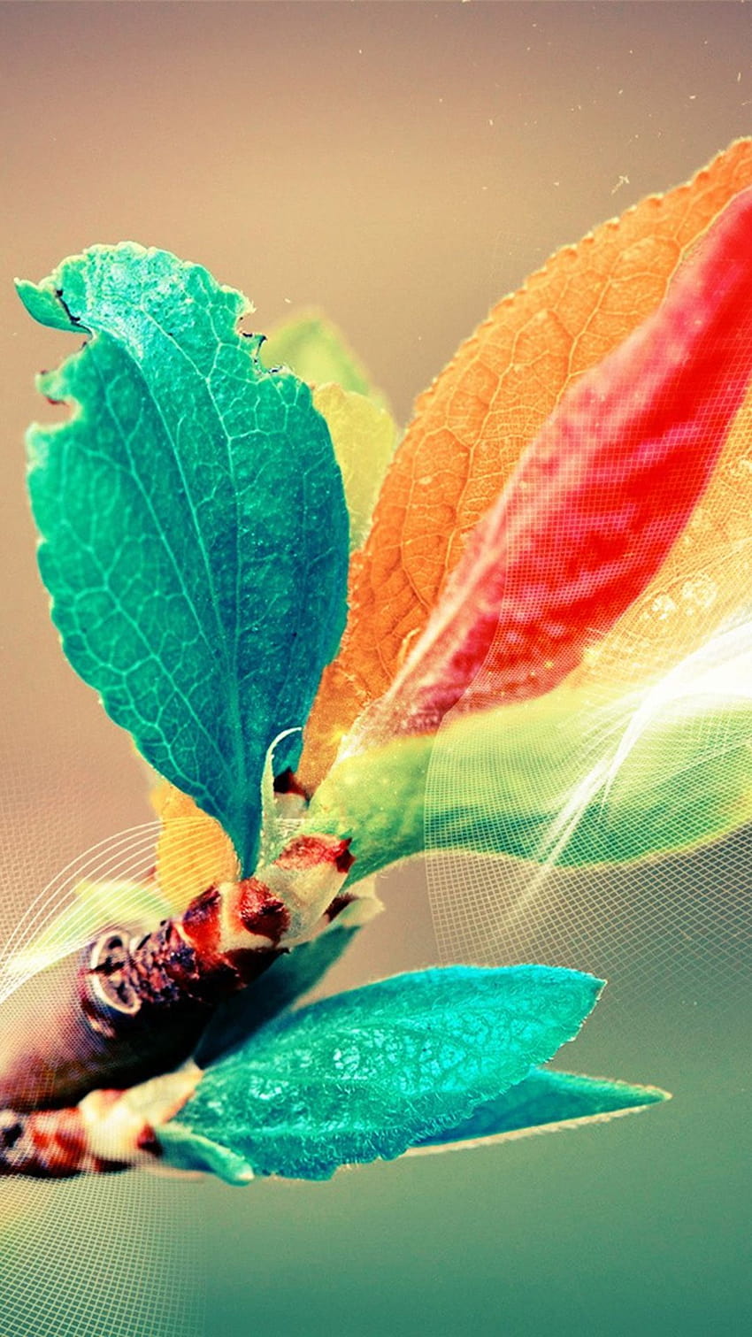 Beautiful Colorful Bud Leaf Branch Silk Line Art iPhone 6, dp whatsapp HD phone wallpaper