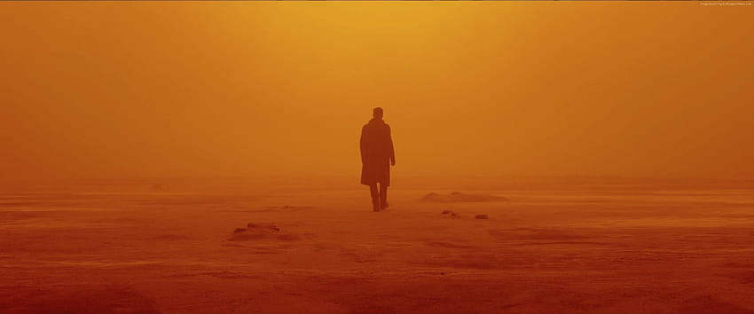 Blade Runner 2049, Райън Гослинг, най-добри филми, Филми HD тапет