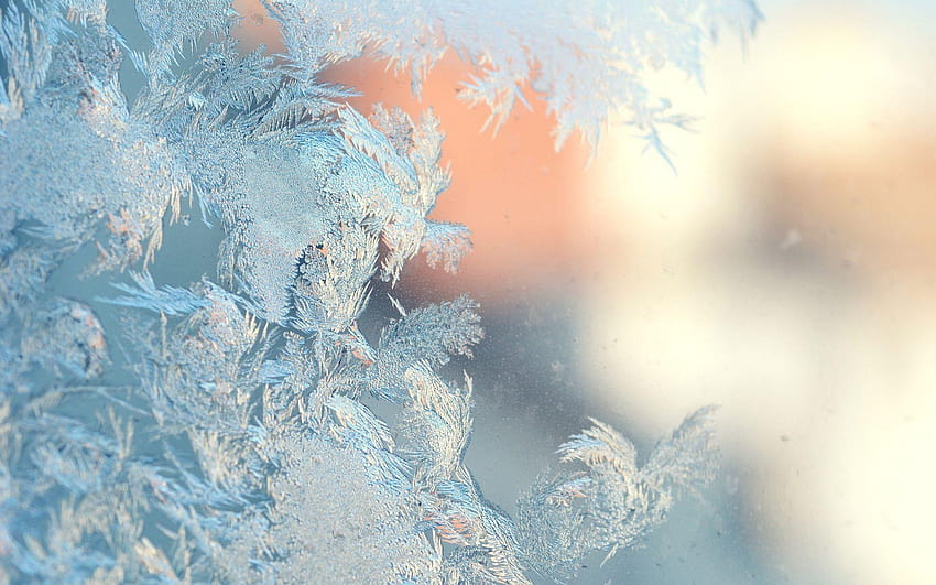 Nature frost winter seasons window glass mood bokeh cold zing, frozen ice flowers window glass HD wallpaper