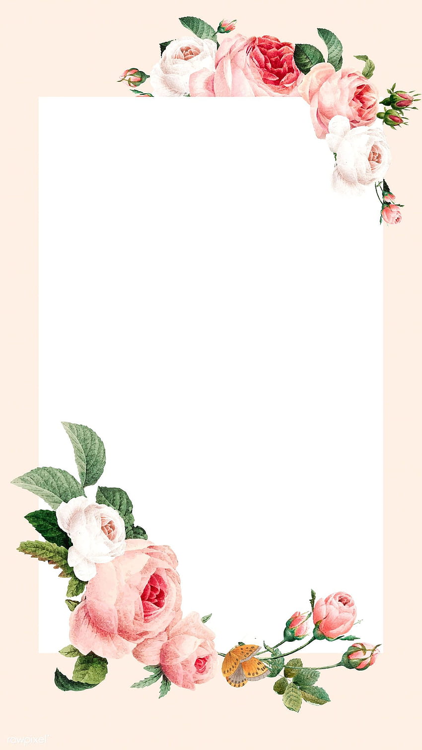 Flower phone , Flower frame ...pinterest HD phone wallpaper