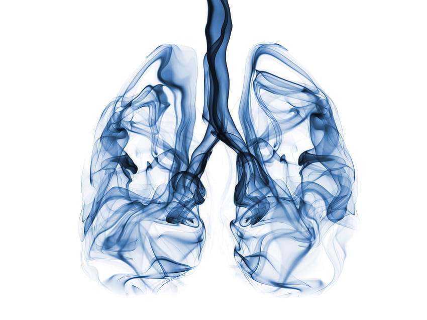 Lungs HD wallpaper