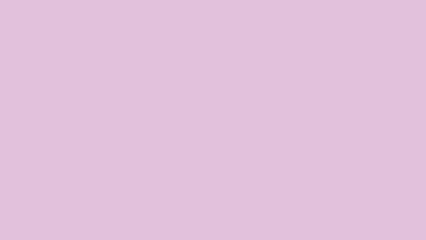 Fundo de cor sólida lilás: 100 Vector, PNG, arquivos PSD, rosa claro sólido papel de parede HD