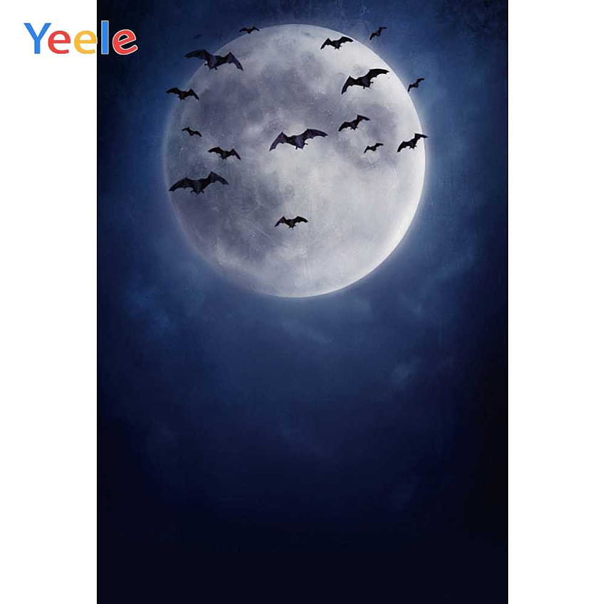 Yeele Moon Bats Halloween Party Portrait grafische Hintergründe personalisierte grafische Hintergründe für Studio HD-Hintergrundbild