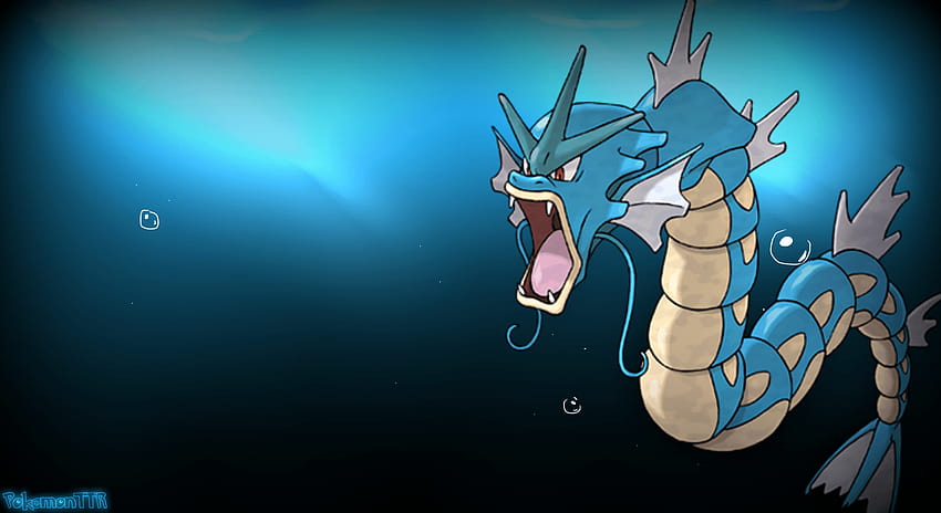 Best Pokemon Gyarados Full Pics By HD wallpaper | Pxfuel