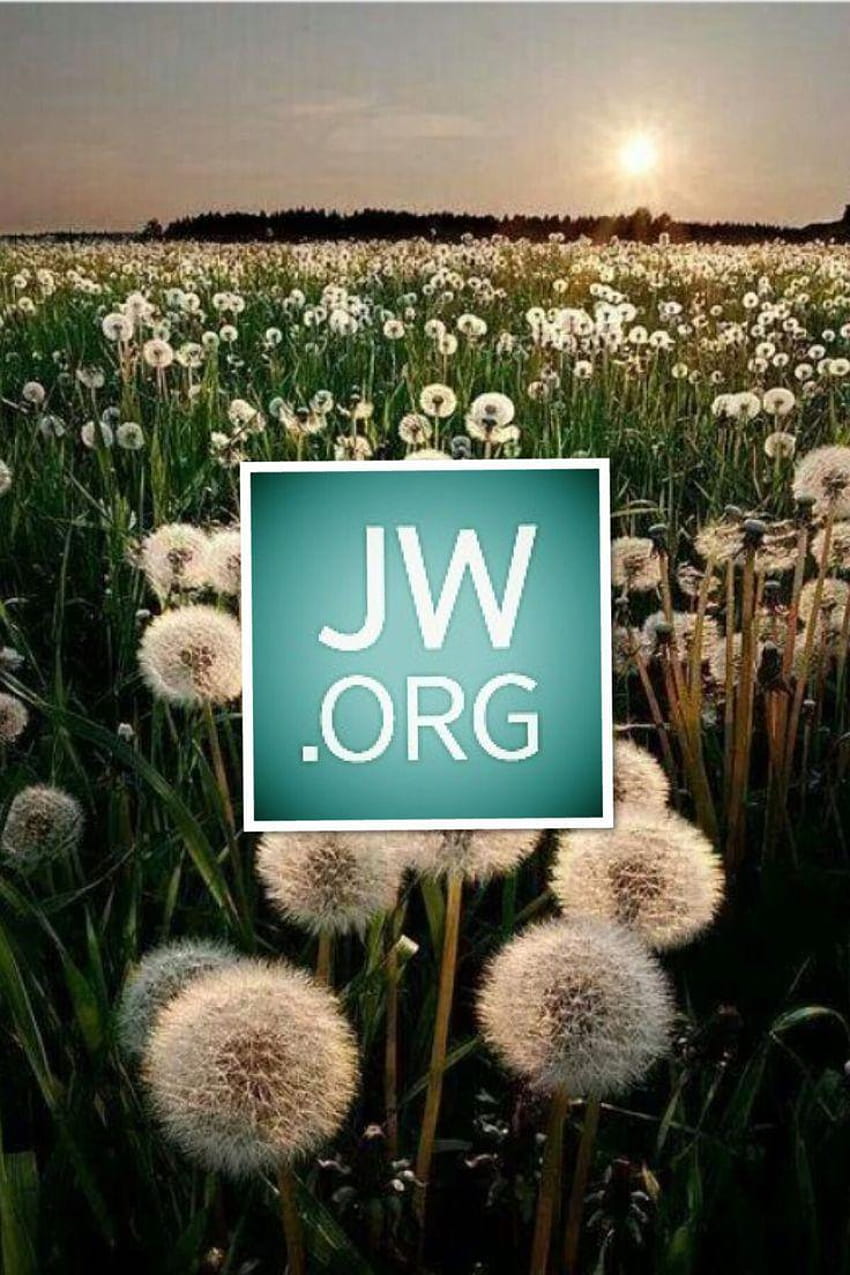 Jehovah Witness, jehovahs witnesses HD phone wallpaper