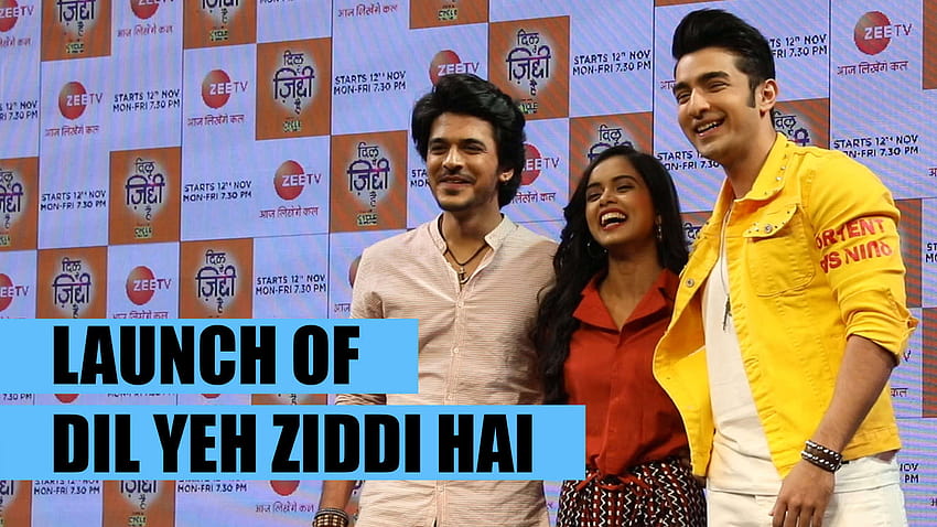 Dil Yeh Ziddi Hai: Rohit Suchanti, Megha Ray and Shoaib Ali at the show launch HD wallpaper