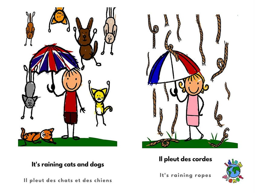 Its raining cats and dogs and … ropes ...idiomplanet HD wallpaper