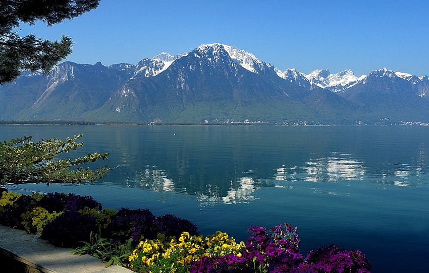 the sky, water, flowers, mountains, lake, reflection, Switzerland, Geneva , section пейзажи, switzerland geneva HD wallpaper