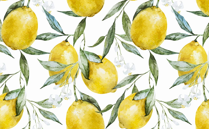 Lemons and Leaves for Walls, nasty food HD wallpaper