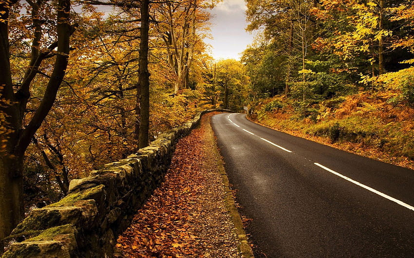 Fall Mountain Road, amazing mountain road HD wallpaper