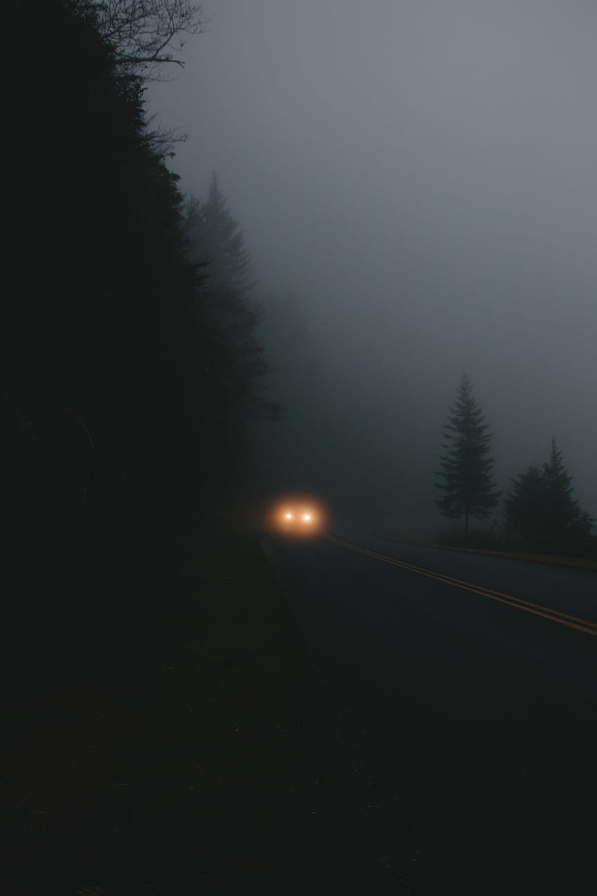 Foggy Night, dark road with fog HD phone wallpaper
