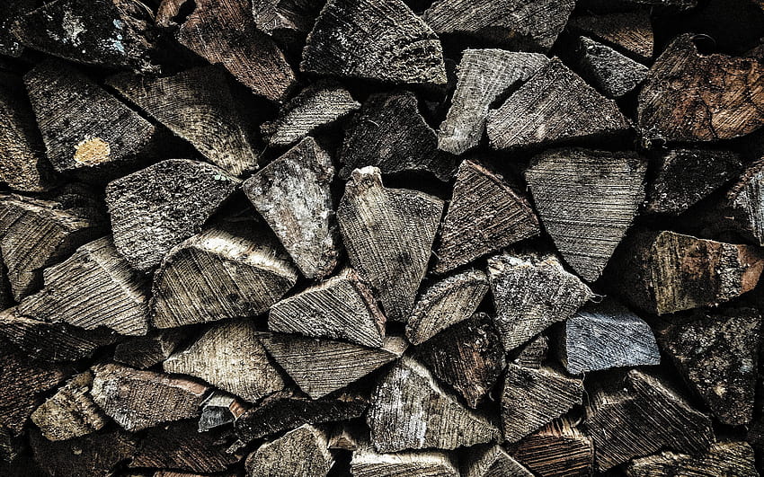wood log texture, firewood texture, Stacked wood logs, logging concepts, wood texture, wooden backgrounds with resolution 2880x1800. High Quality HD wallpaper