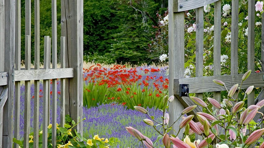 1920x1080 lilies, lavender, green, gates, garden, garden of lilies HD wallpaper