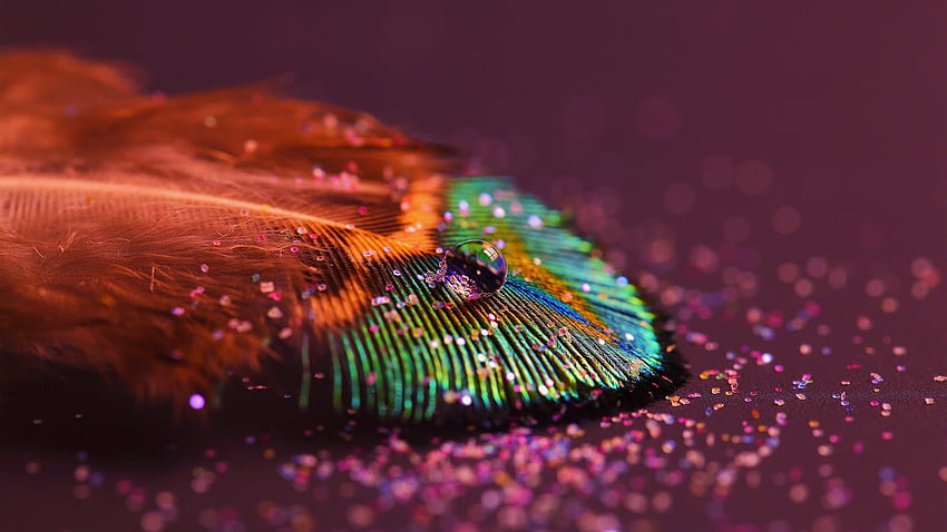 graphy, Macro, Glitter, Feathers, Water drops, Peacocks, Depth of field / and Mobile &, glitter water HD wallpaper