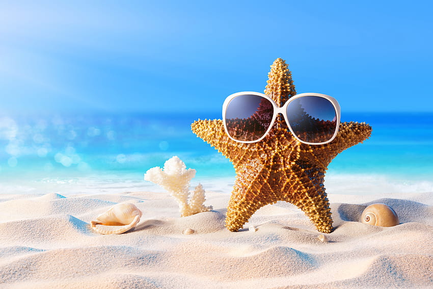 Starfish with glasses on the sand by the sea in summer, sand summer HD wallpaper