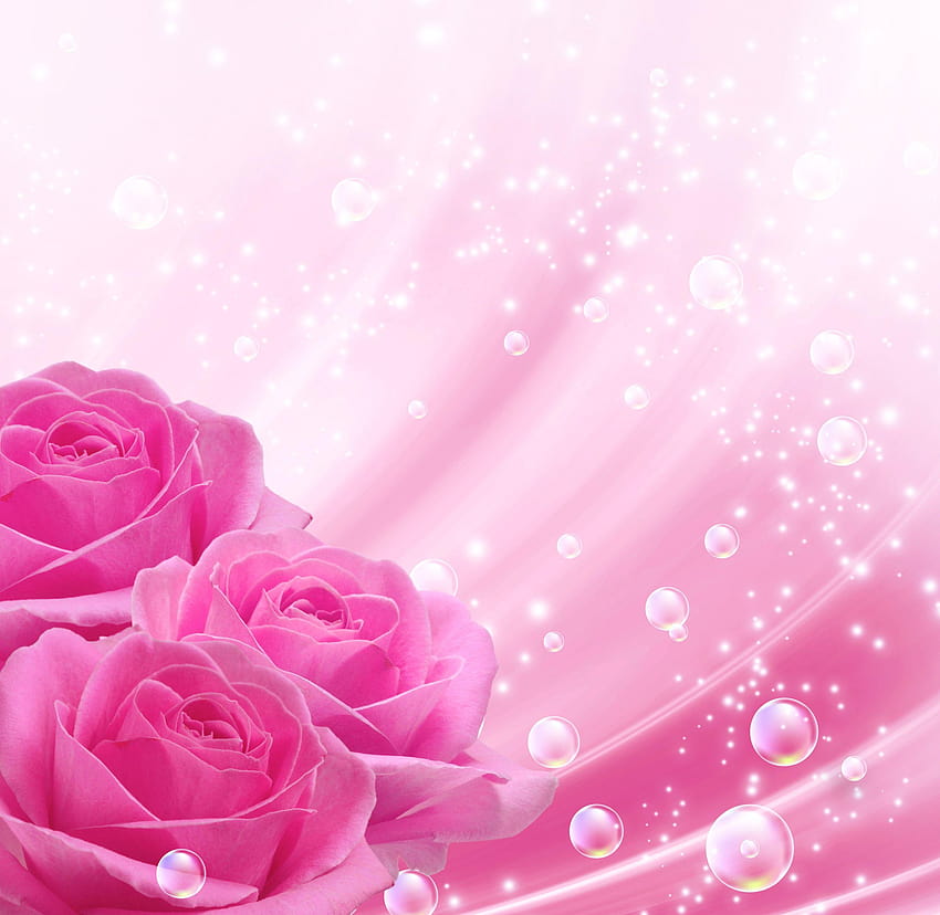 Rosa Hintergründe mit rosa Rosen, rosa Hintergrund png HD-Hintergrundbild