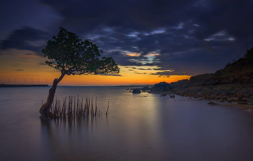 awan, pohon, Indonesia, cahaya, pulau Lombok Wallpaper HD