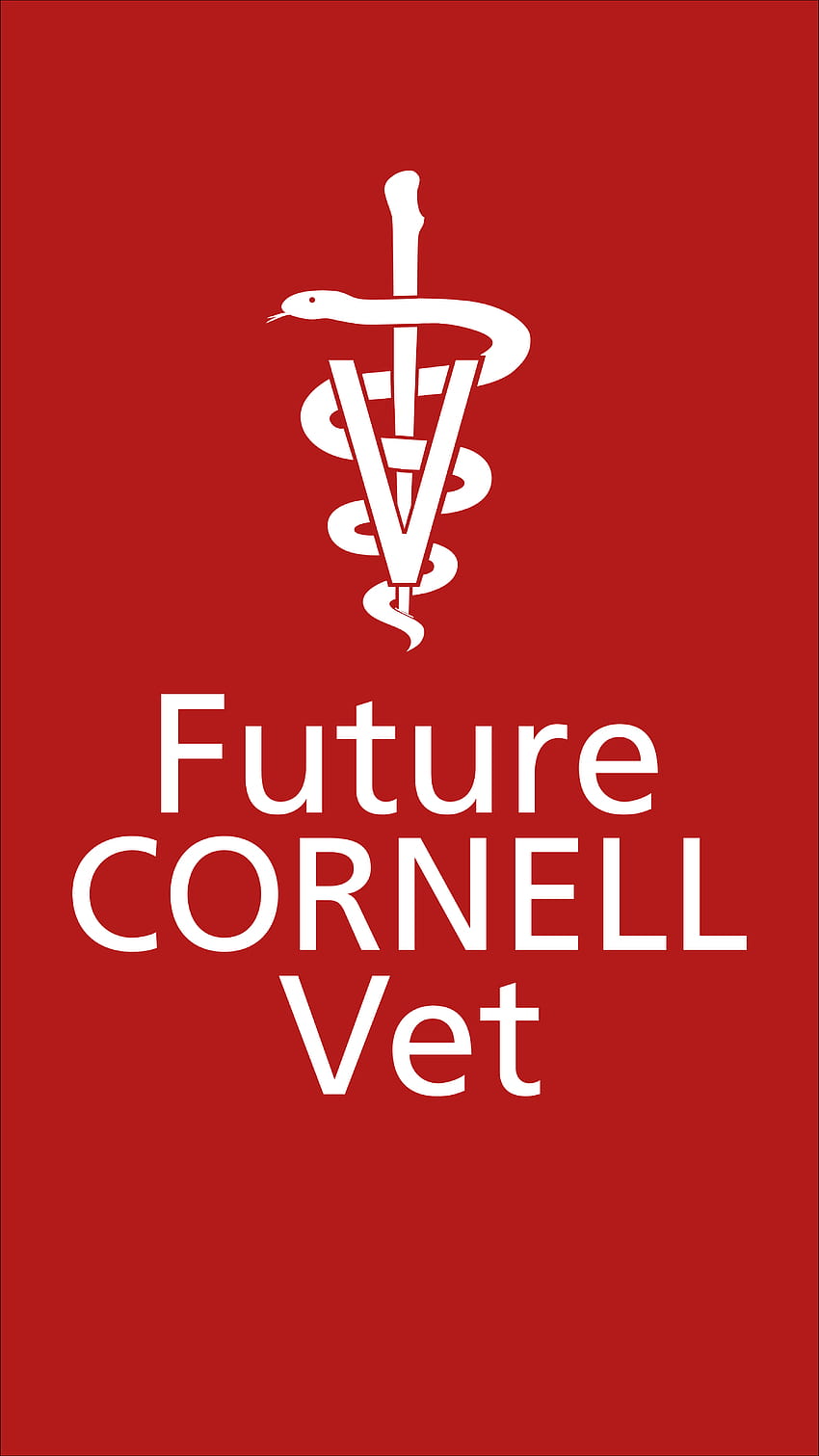 Future Vet, veterinarian HD phone wallpaper