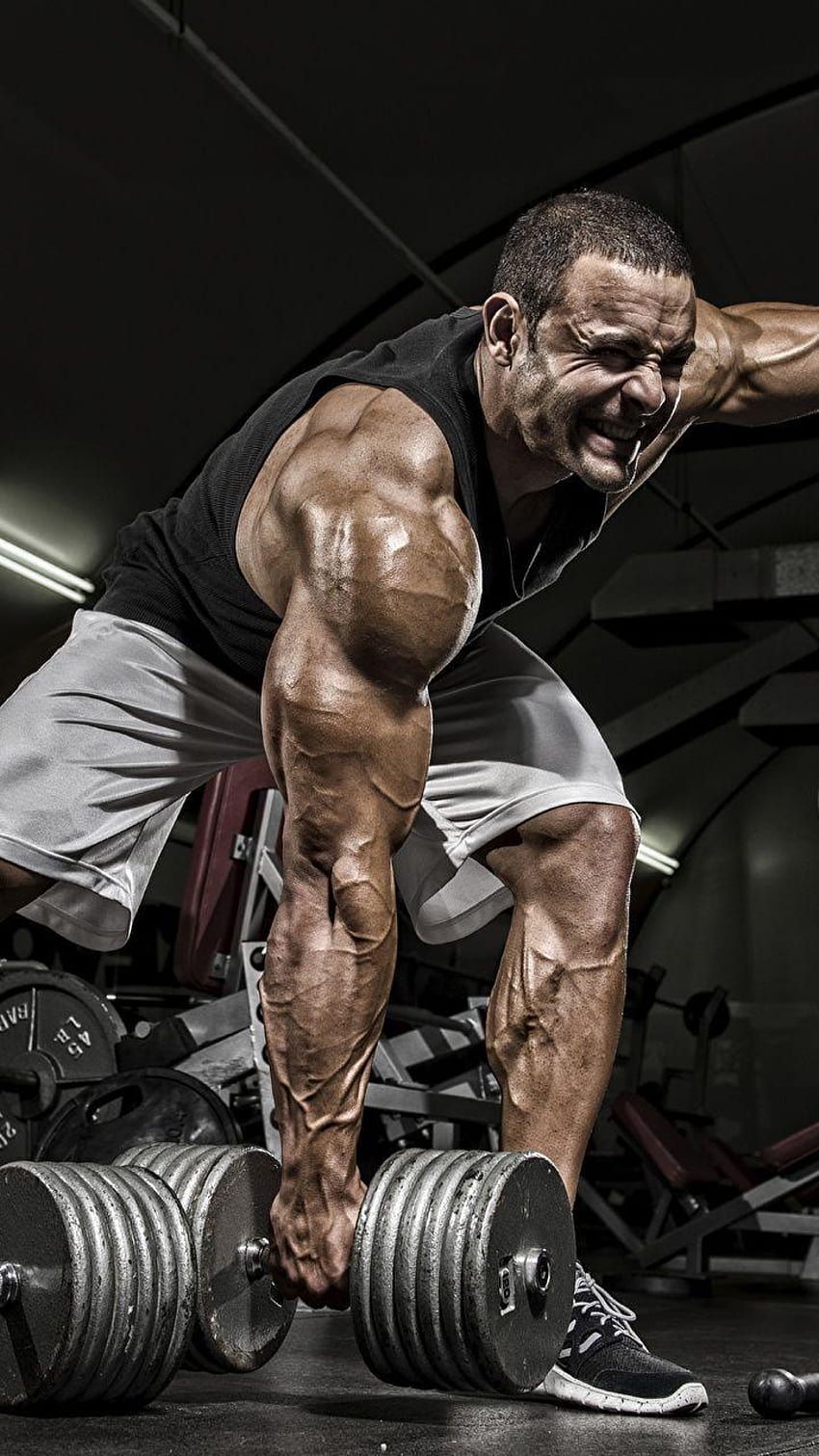 Halteres masculinos para exercícios musculares 720x1280, academia de musculação Papel de parede de celular HD