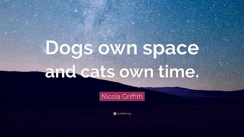 Nicola Griffith Cytaty: „Psy mają własną przestrzeń, a koty swój czas”. Tapeta HD