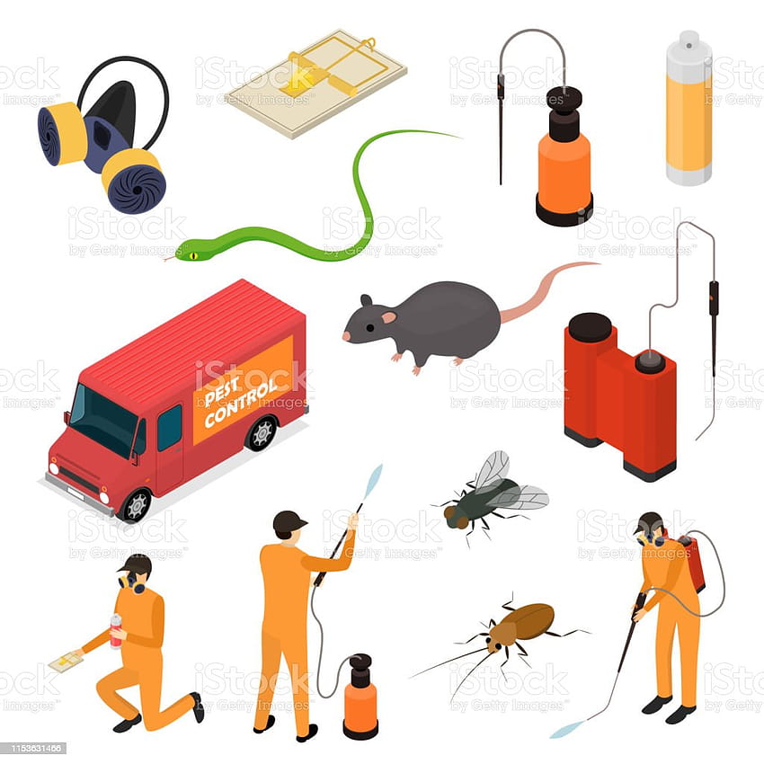 Pest Control Sign 3d Icon Set Isometric View Vector Stock Illustration HD phone wallpaper