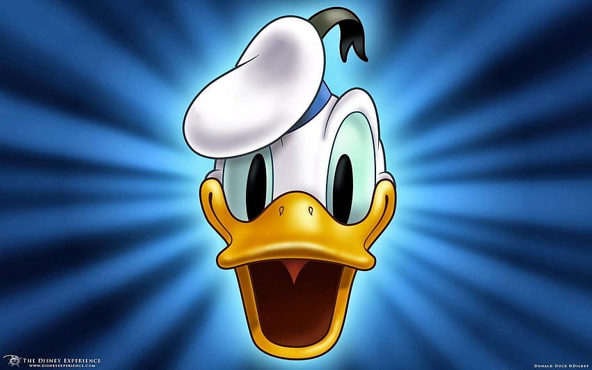 Daffy Duck HD wallpaper | Pxfuel