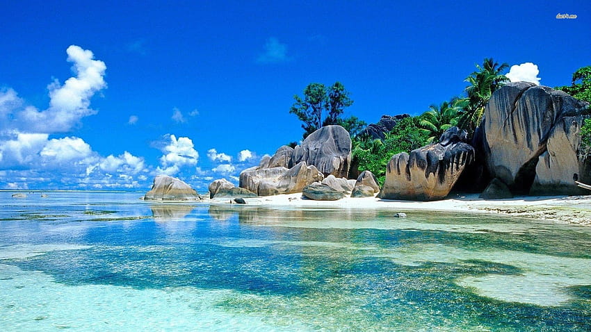 Strand der Seychellen HD-Hintergrundbild
