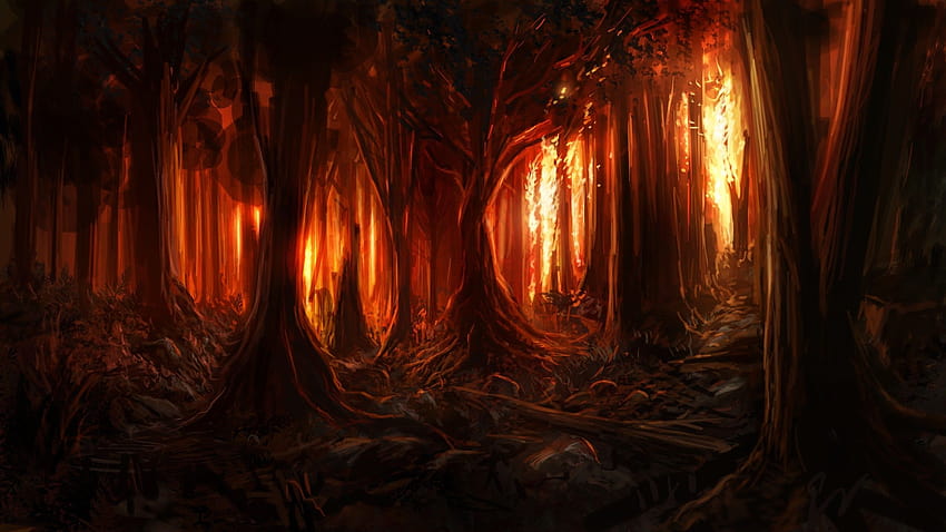 Floresta Qya, incêndio florestal papel de parede HD