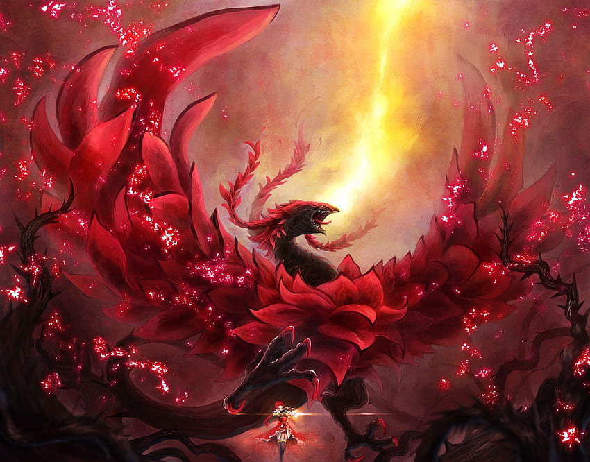 Black Rose Dragon, akiza izinski HD wallpaper