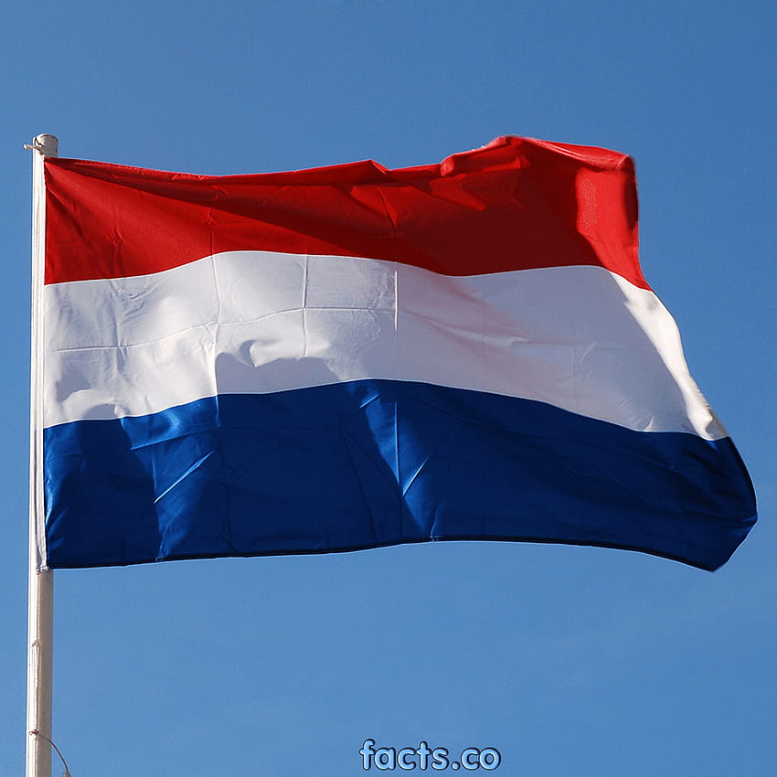 Flag Of The Netherlands , Misc, HQ Flag Of The Netherlands, holland flag HD  phone wallpaper | Pxfuel