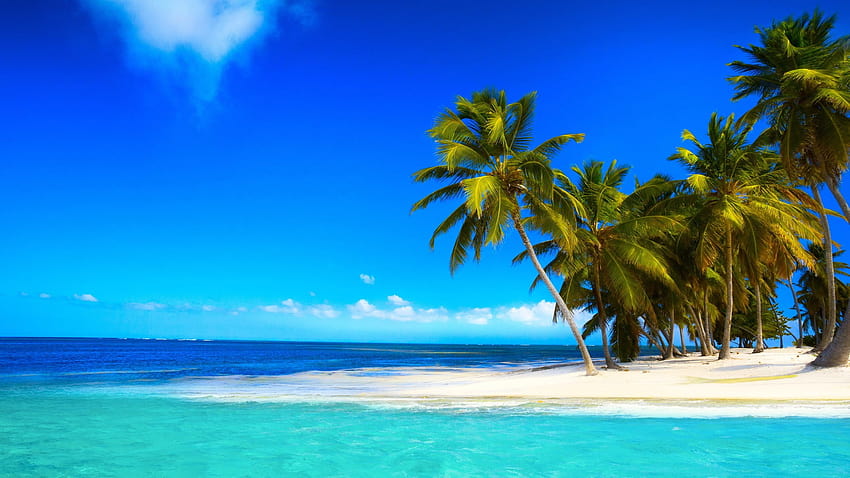 Син океан близо до кокосови дървета със зелени листа под ясно синьо небе • За вас за & Mobile, чист океан HD тапет