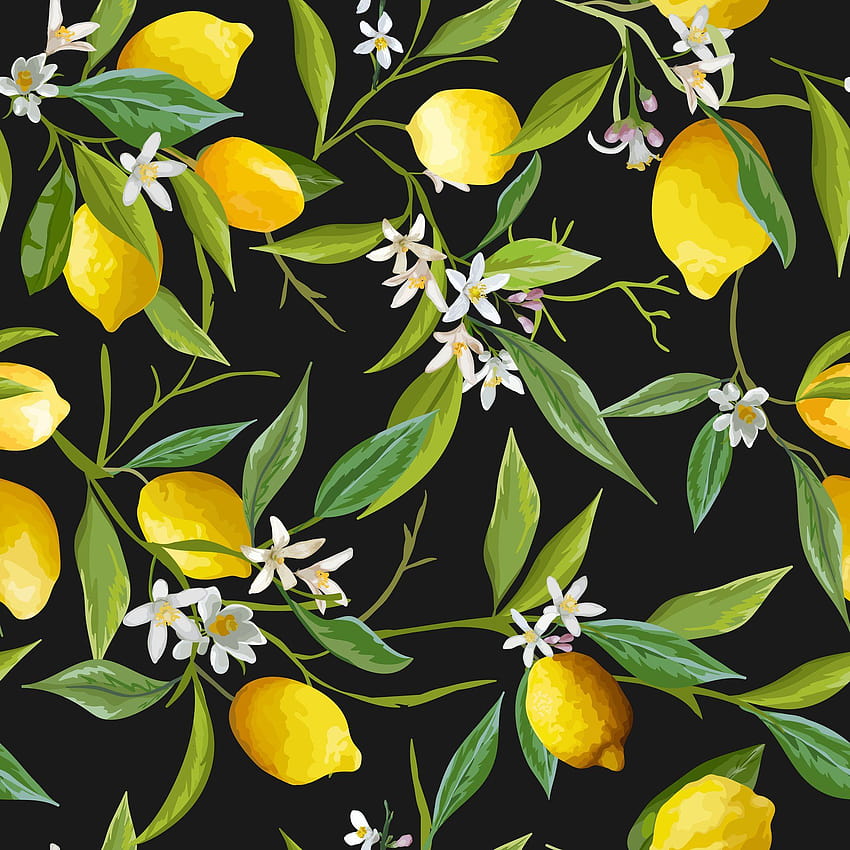 Black Lemon Tree Garden Multicolored ...wallstickers4you · In stock HD phone wallpaper