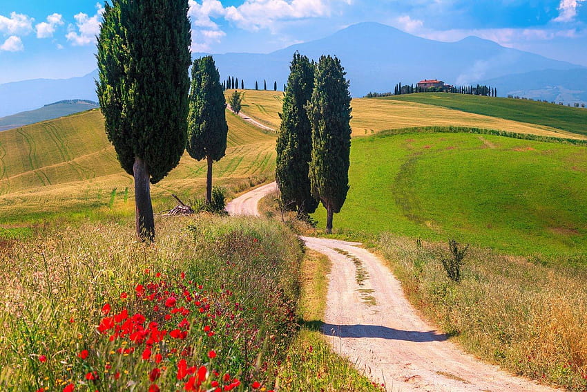 Tuscany: Hilltop Towns, tuscan vineyard village HD wallpaper