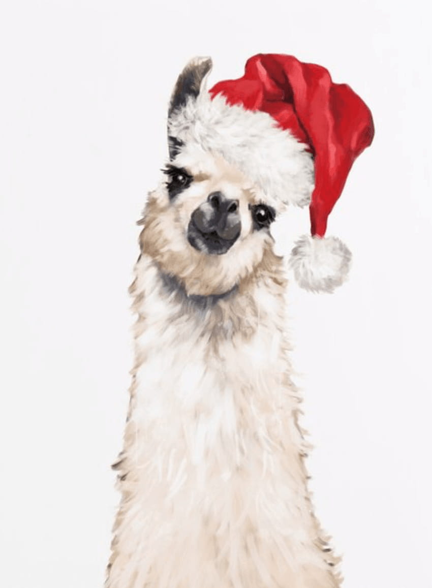 Christmas Llama Poster in 2019, llamas in santa hats HD phone wallpaper