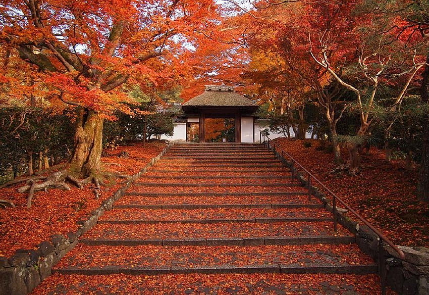 Japan Temple, autumn temple HD wallpaper | Pxfuel
