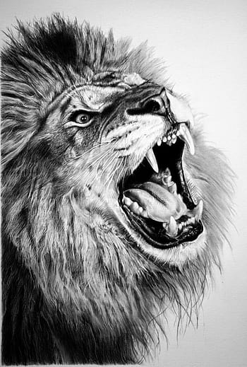 Realistic lion tattoo design digital download – TattooDesignStock