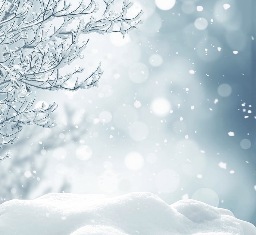 Snowy Backgrounds with Branches, winter branches HD wallpaper