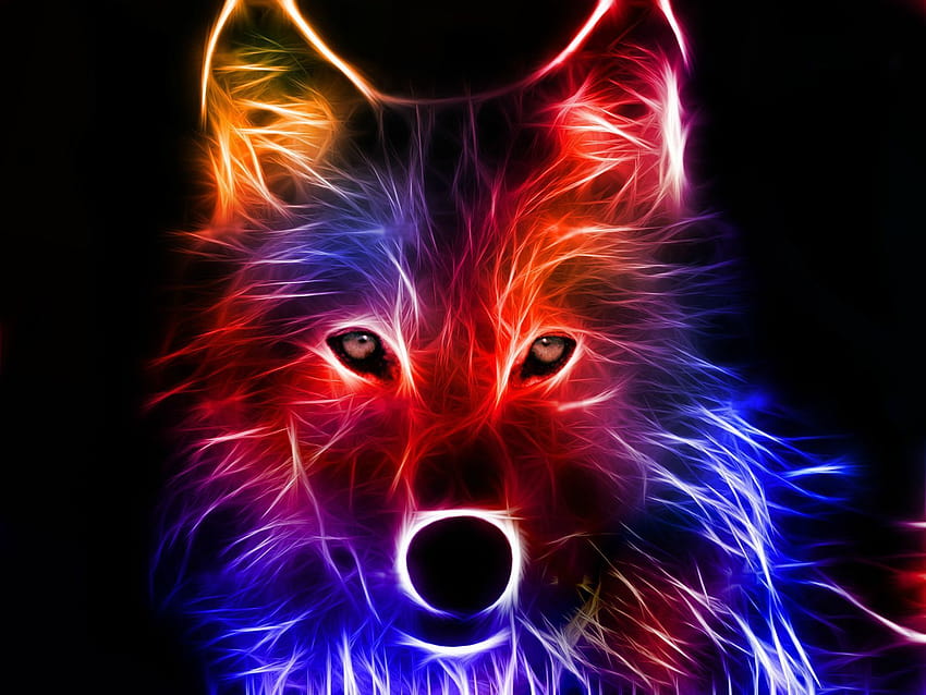 Blauer Fuchs auf Hund, roter und blauer Fuchs HD-Hintergrundbild