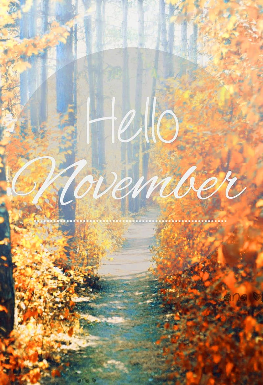 Hello November iPhone Wallpapers  Top Free Hello November iPhone  Backgrounds  WallpaperAccess