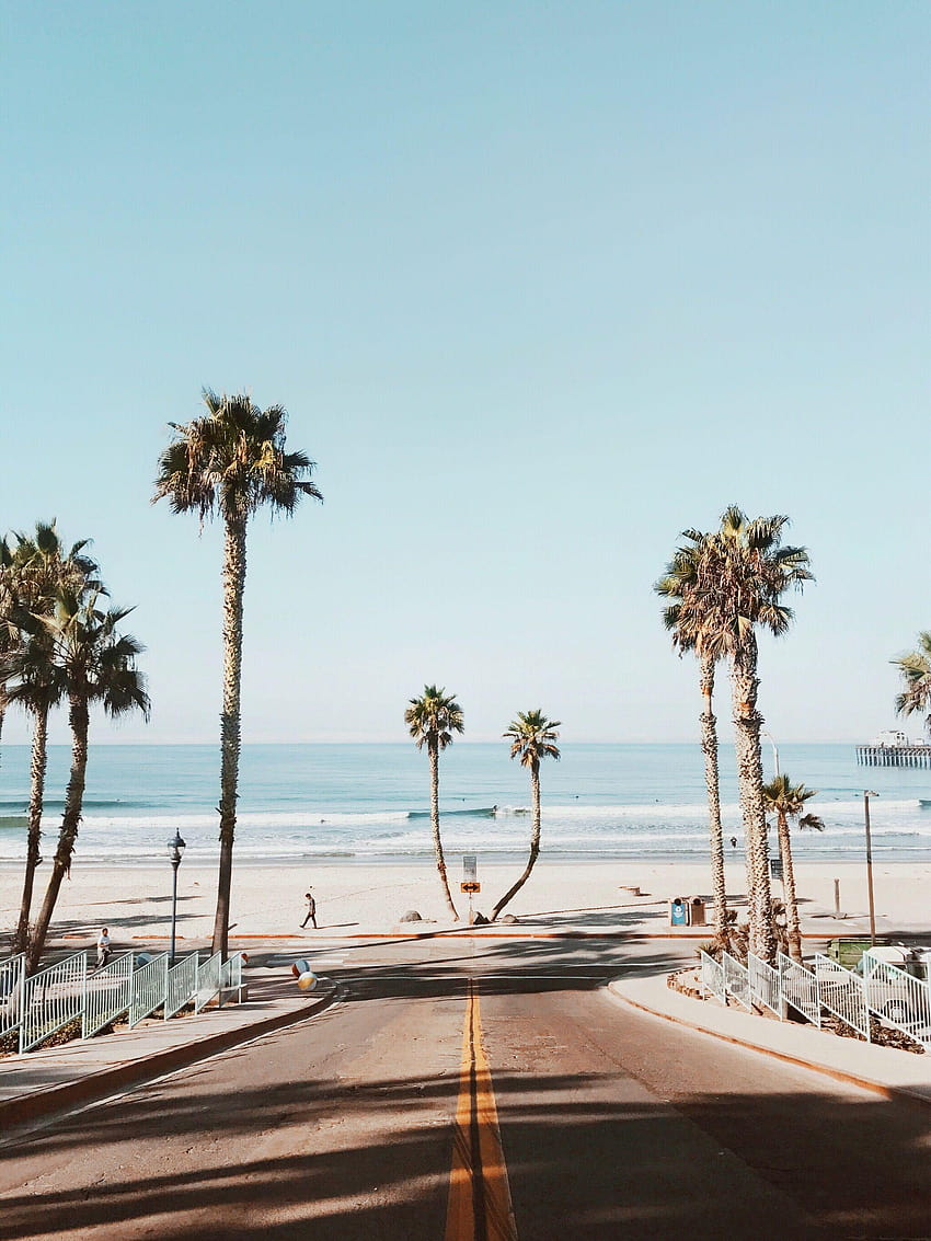 Pantai dan pohon palem di Oceanside, rumah tangga California, pantai tepi laut wallpaper ponsel HD