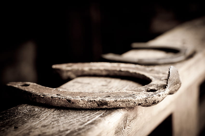 Horseshoes for your or mobile screen and easy to, horse shoes HD wallpaper