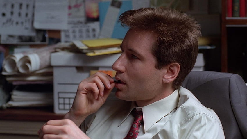 MFW I realize how much Mulder and I love our sunflower seeds. Happy, fox mulder HD wallpaper