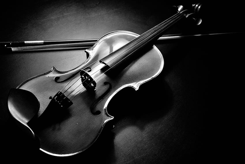 white violin HD wallpaper