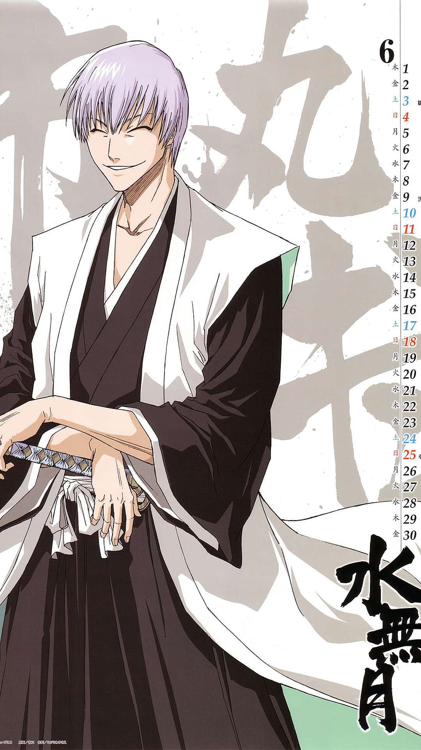 120 Gin Ichimaru HD Wallpapers and Backgrounds